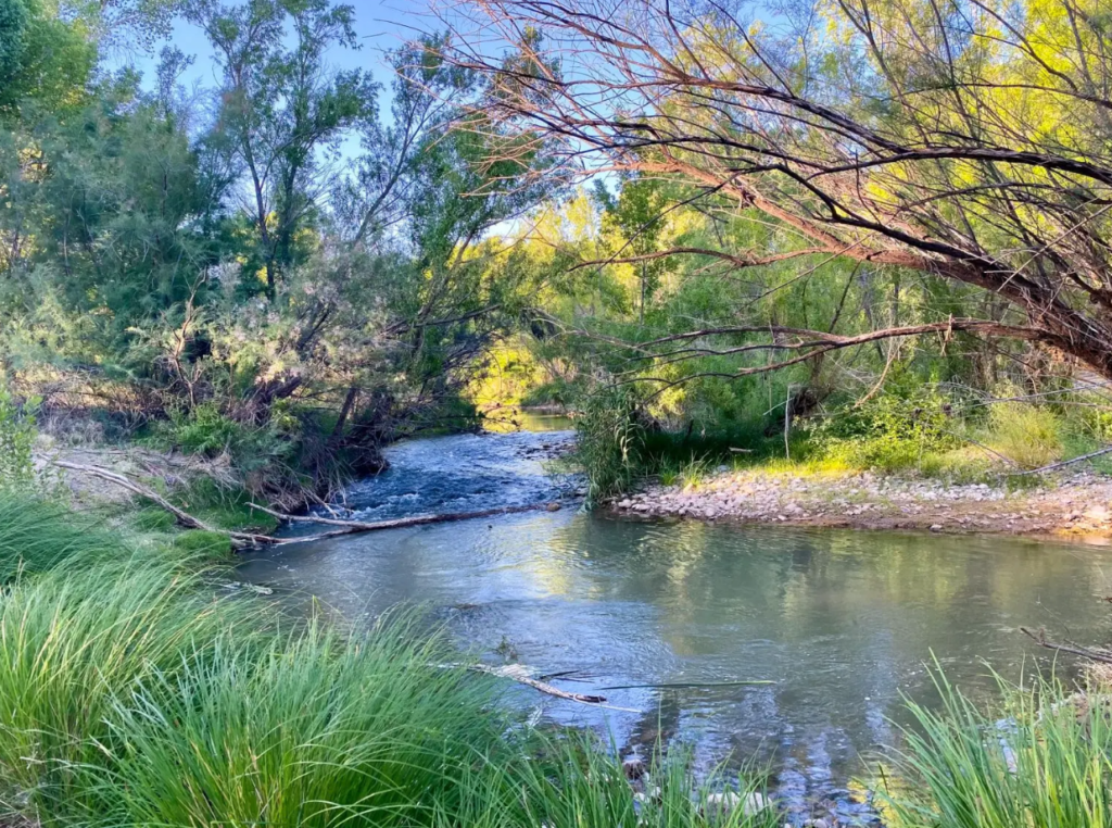 camp verde landscape